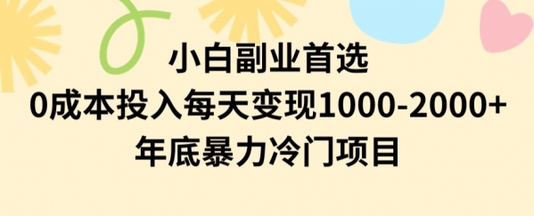 小白副业首选，0成本投入，每天变现1000-2000年底暴力冷门项目【揭秘】|极客创益资源网