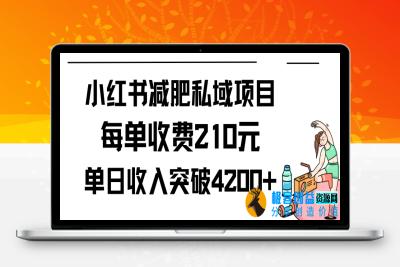 小红书减肥私域项目每单收费210元单日成交20单，最高日入4200+|极客创益资源网