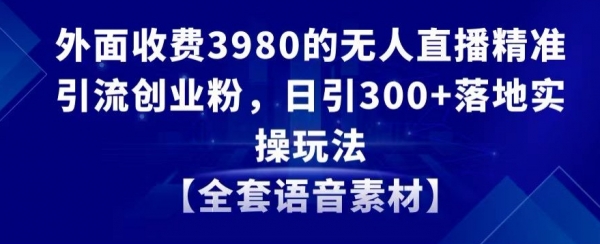 外面收费3980的无人直播精准引流创业粉，日引300+落地实操玩法【全套语音素材】【揭秘】|极客创益资源网