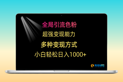 全局引流色粉 超强变现能力 多种变现方式 小白轻松日入1000+|极客创益资源网