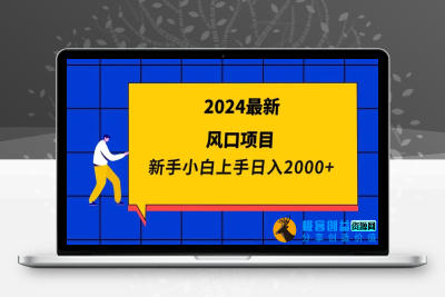 2024最新风口项目 新手小白日入2000+|极客创益资源网