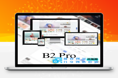 WordPress B2 Pro 主题5.2.0最新开心版,附带官方包体与授权文件|极客创益资源网