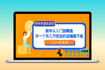 拼多多虚拟项目：入门到精通，开一个月入万把块的店铺 真不难（24年更新）|极客创益资源网