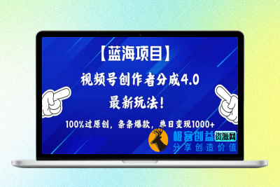 2024蓝海项目视频号，最新方法， 100%过原创，条条爆款，单日变现1K+|极客创益资源网