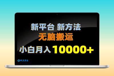 新平台新方法，无脑搬运，月赚10000+，小白轻松上手不动脑|极客创益资源网