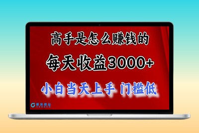 高手赚钱秘诀：每天收益超3000元_穷人逆袭新项目|极客创益资源网