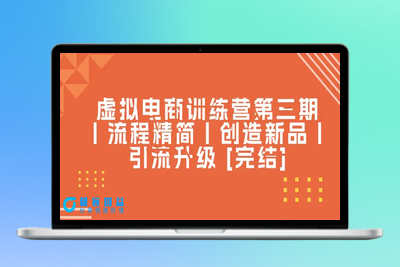 虚拟电商训练营第三期丨流程精简丨创造新品丨引流升级 [完结]|极客创益资源网