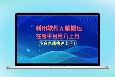 利用软件无脑搬运，在新平台月入上万，小白也能快速上手|极客创益资源网