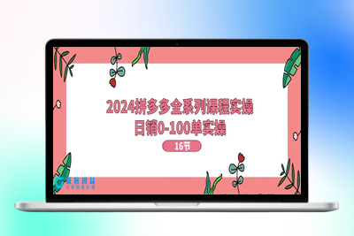 2024拼多多全系列课程实操，日销0-100单实操【16节课】|极客创益资源网