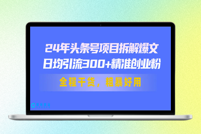 24年头条号项目拆解爆文，日均引流300+精准创业粉，全程干货，粗暴好用|极客创益资源网